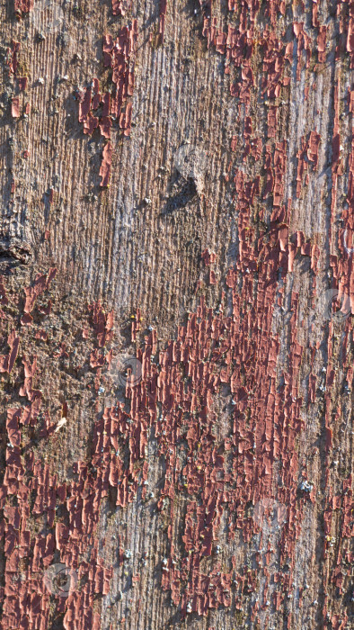 Скачать Текстура старой крашеной деревянной доски. Красивый фон. Абстрактная текстура дерева с царапинами и трещинами фотосток Ozero