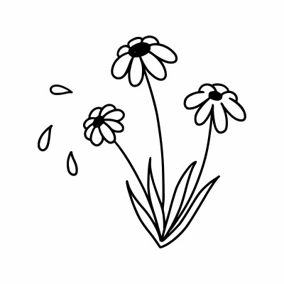 [object Object] undefined