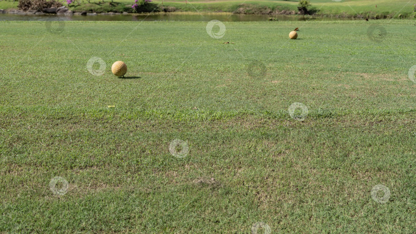 Скачать Два желтых мяча лежат на поле для гольфа фотосток Ozero
