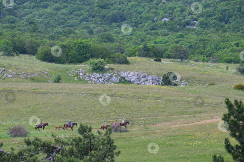 Скачать Вид на плато горы Ай-Петри в Крыму прогулки на лошадях фотосток Ozero