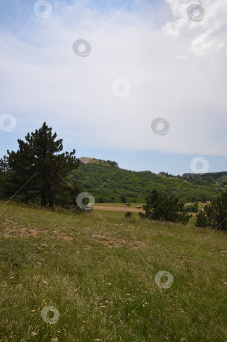 Скачать Вид на плато горы Ай-Петри в Крыму фотосток Ozero