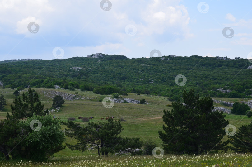 Скачать Вид на плато горы Ай-Петри в Крыму прогулки на лошадях фотосток Ozero