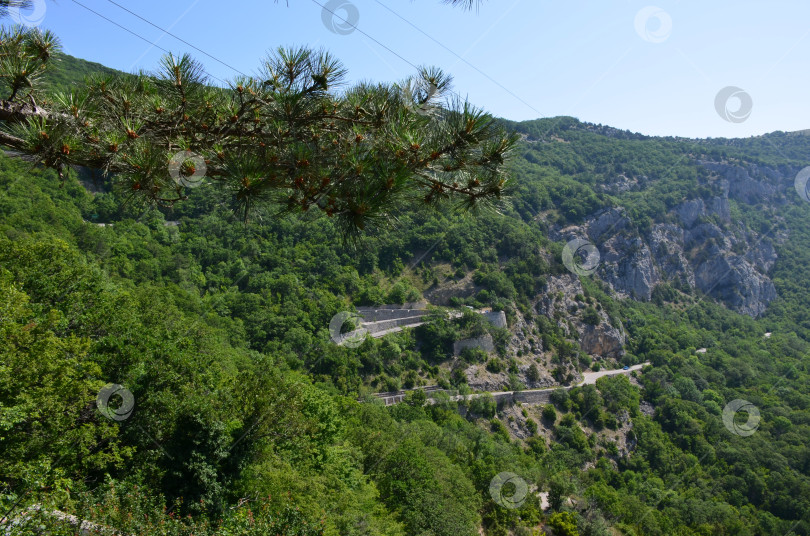 Скачать Серпантин шоссе в горах Крыма в районе Ялты фотосток Ozero