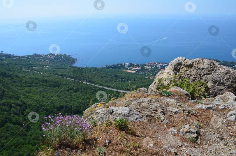 Скачать Вид на побережье Крыма и Черное море в районе Ялты фотосток Ozero