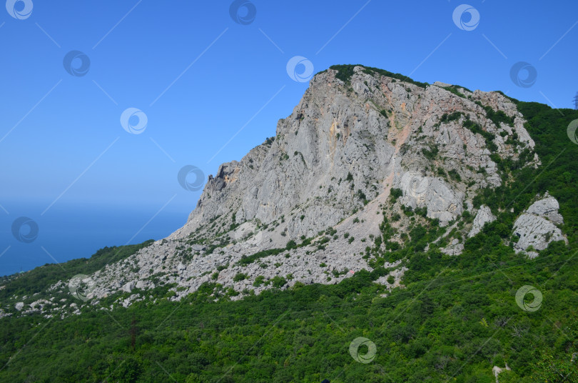 Скачать Скала Форос на побережье Черного моря в Крыму фотосток Ozero