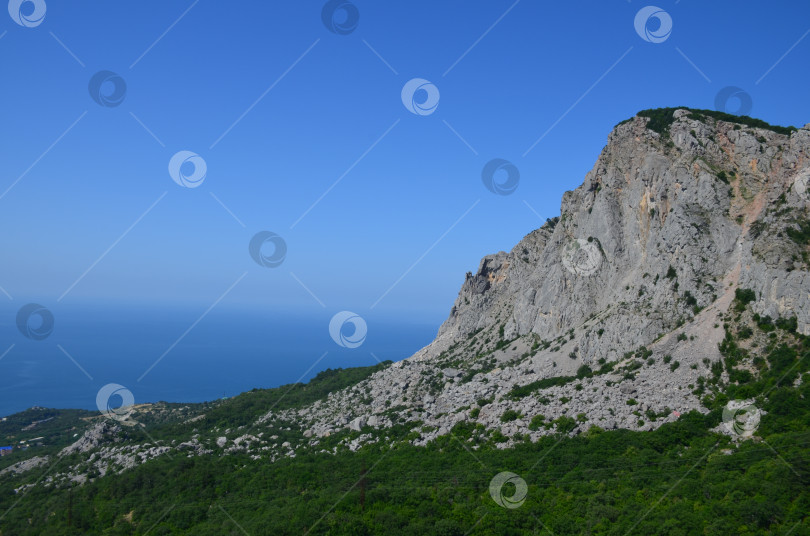 Скачать Скала Форос на побережье Черного моря в Крыму фотосток Ozero