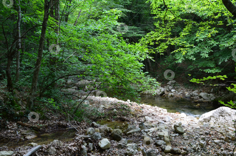 Скачать Большой каньон Крыма: горные потоки, ручьи, водопады фотосток Ozero