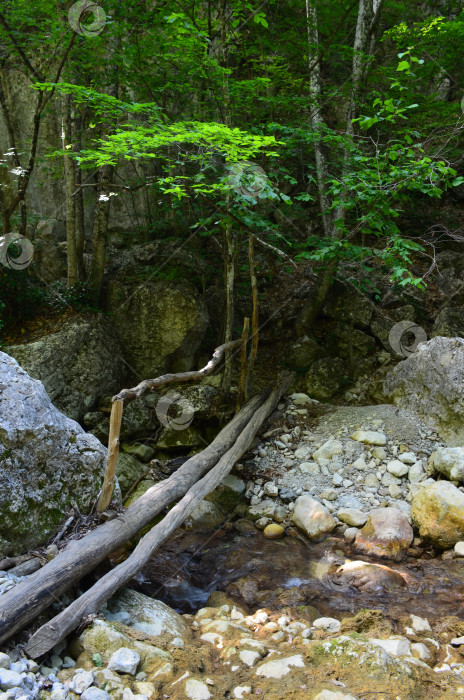 Скачать Большой каньон Крыма: горные потоки, ручьи, водопады фотосток Ozero