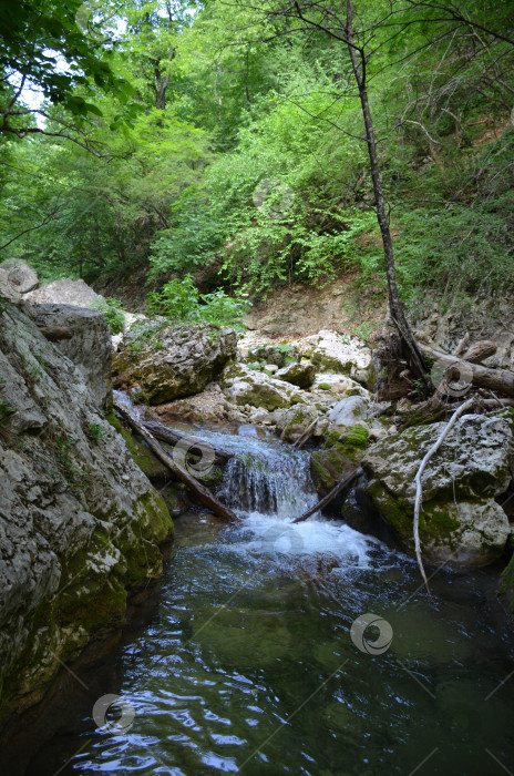 Скачать Большой каньон Крыма: горные потоки, ручьи, водопады фотосток Ozero