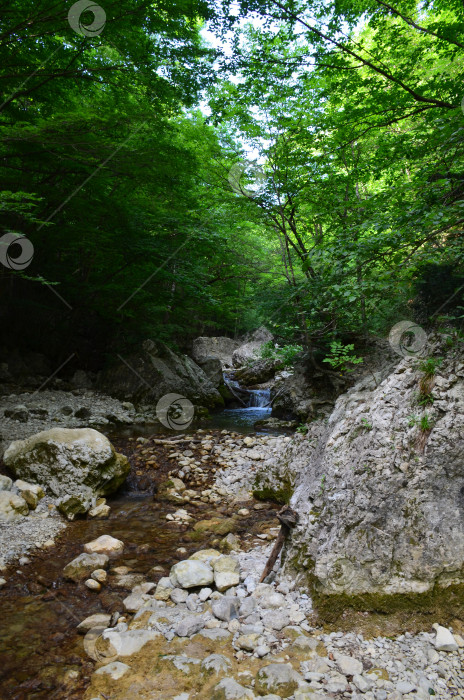 Скачать Большой каньон Крыма: горные потоки, ручьи, водопады фотосток Ozero