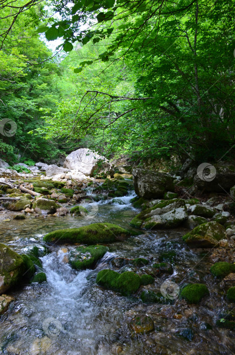 Скачать Большой каньон Крыма: горные потоки, ручьи, водопады фотосток Ozero