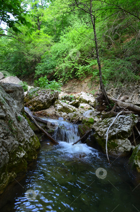 Скачать Большой каньон Крыма: горные потоки, ручьи, водопады фотосток Ozero