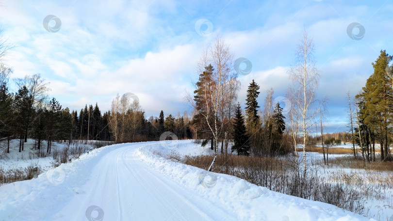 Скачать Дорога в лесу фотосток Ozero