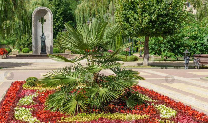 Скачать Клумба с китайской пальмой-ветряной мельницей (Trachycarpus fortunei) или пальмой Чусан на Курортном бульваре - центральной пешеходной улице города-курорта Кисловодск. Кисловодск, Россия - 19 августа 2023 г. фотосток Ozero