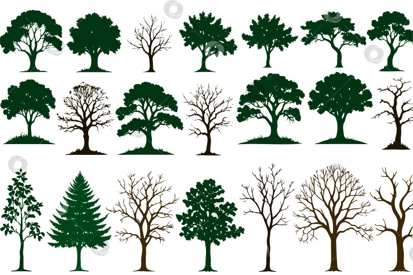 Скачать Набор для рисования силуэтного дерева, вид сбоку, набор эскизов элементов графических деревьев фотосток Ozero