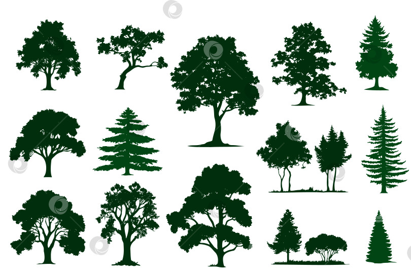 Скачать Набор для рисования силуэтного дерева, вид сбоку, набор эскизов элементов графических деревьев фотосток Ozero