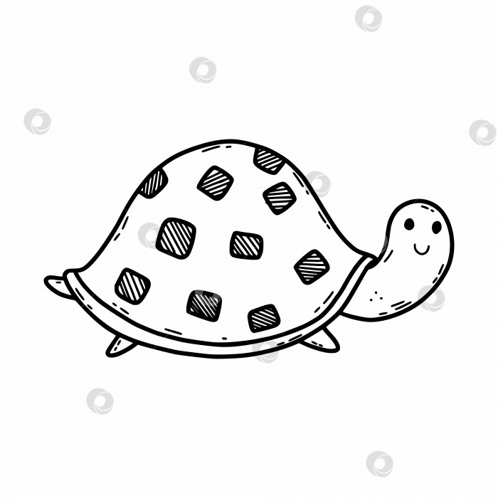 Скачать Симпатичная черепаха на белом фоне. Книжка-раскраска для малыша с морской флорой и фауной. фотосток Ozero