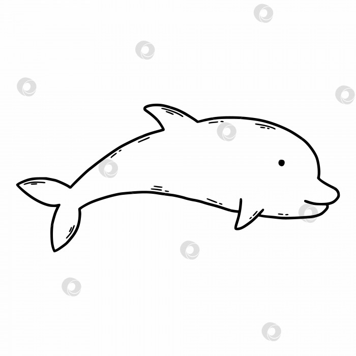 Скачать Милый дельфин. Векторная иллюстрация каракулей. Морские животные. Книжка-раскраска для детей. фотосток Ozero