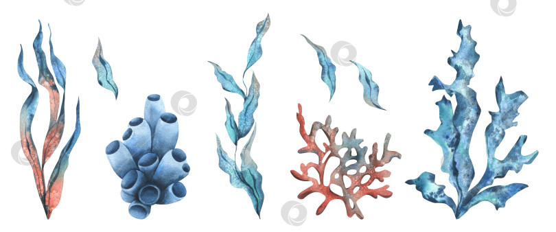 Скачать Клипарт подводного мира с морскими животными, кораллами и водорослями. Рисованная акварельная иллюстрация. Набор изолированных объектов на белом фоне. фотосток Ozero