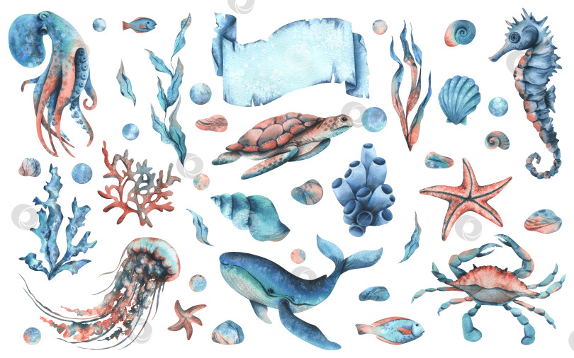 Скачать Клипарт подводного мира с морскими животными китом, черепахой, осьминогом, морским коньком, морской звездой, ракушками, кораллами и водорослями. Рисованная акварельная иллюстрация. Крупные объекты на изолированном фоне. фотосток Ozero
