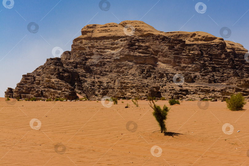 Скачать Винтажное фото из архива. Май 2011 года, пустыня Вади-Рам. Иордания. Марсианские пейзажи в безжизненной пустыне Вади Рам. Красные скалы и красный песок. Место действия фильма "Лоуренс Аравийский". фотосток Ozero