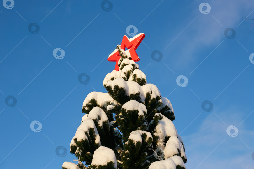 Скачать снежная елка с красной звездой на голубом небе. фотосток Ozero
