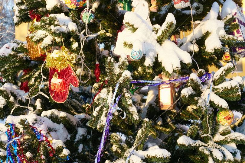 Скачать Фотография украшенной рождественской елки на улице зимой фотосток Ozero