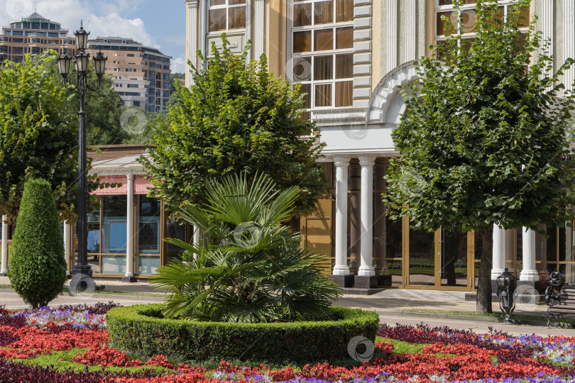 Скачать Красивая клумба с пальмой в центре на фоне фасада здания гостинично-медицинского комплекса PANinter Hotel & Mineral Spa. Курортный бульвар. фотосток Ozero