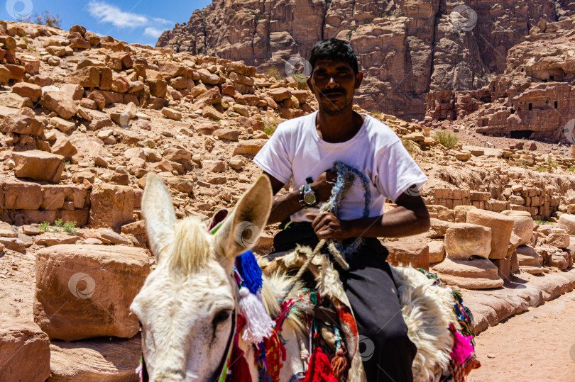 Скачать Винтажное видео из архива. Бедуин в белой футболке сидит на осле и смотрит в камеру. Выборочный фокус. Крупный план. Древний город набатеев. фотосток Ozero