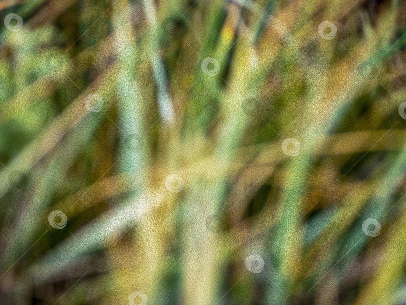 Скачать Естественный зелено-желтый абстрактный фон. Текстура масляной краски. фотосток Ozero