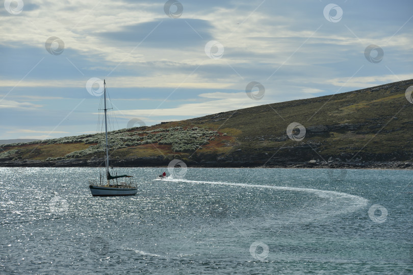 Скачать Море, яхта. Остров Уэст-пойнт. фотосток Ozero