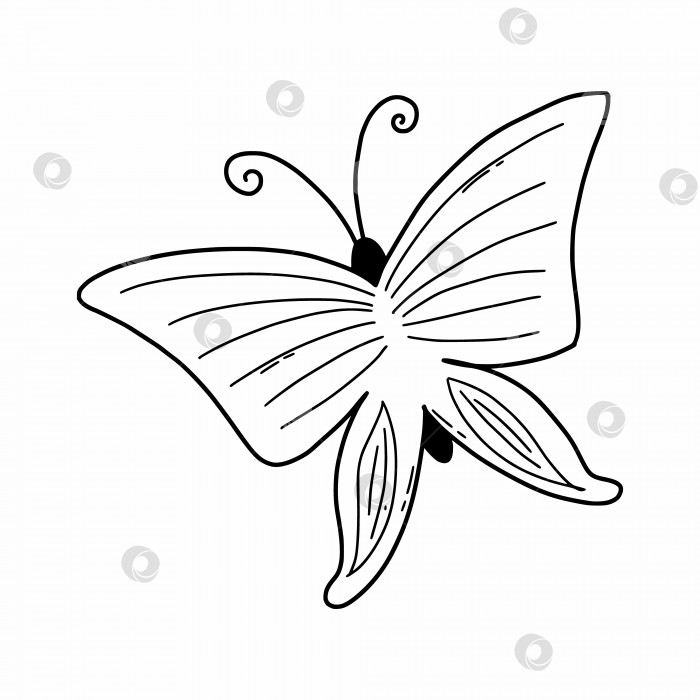 Скачать Милая бабочка в стиле каракулей. Мотылек на белом фоне. Векторная иллюстрация. фотосток Ozero