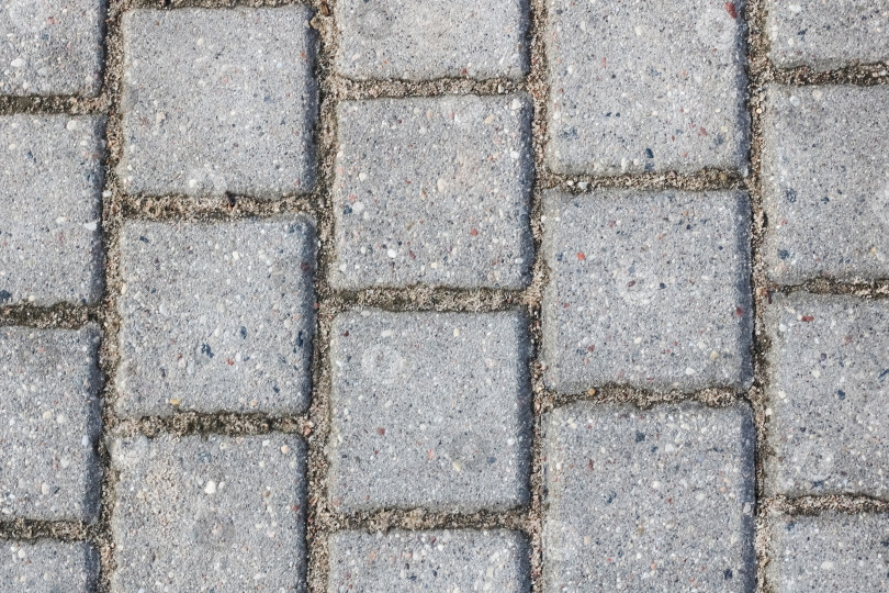Скачать Бетонные серые тротуарные плиты для пола или дорожки фотосток Ozero