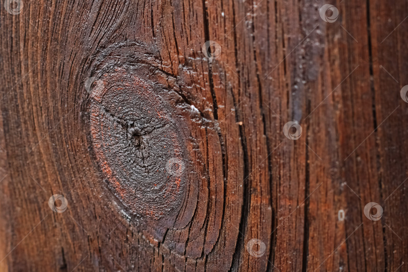 Скачать красивое крупное изображение текстуры полированного дерева фотосток Ozero