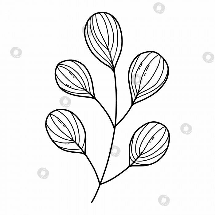 Скачать Каракули с цветком на белом фоне. Векторная иллюстрация с растением. Книжка-раскраска для детей. Дизайн открытки. фотосток Ozero