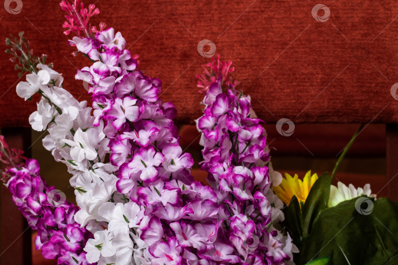 Скачать Фиолетовые цветы закрывают пространство для копирования фотосток Ozero