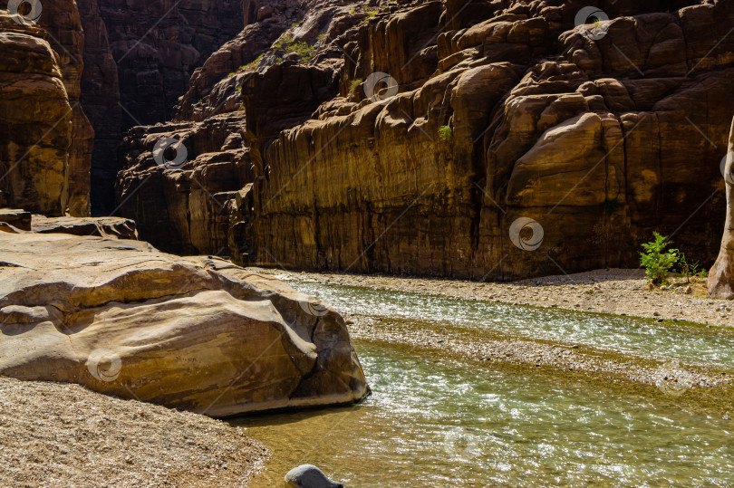 Скачать Природный заповедник Вади Муджиб в Иордании. Каньон Муджиб недалеко от побережья Мертвого моря. Река течет между отвесными скалами каньона. Разноцветные скалы уходят вертикально вверх. фотосток Ozero