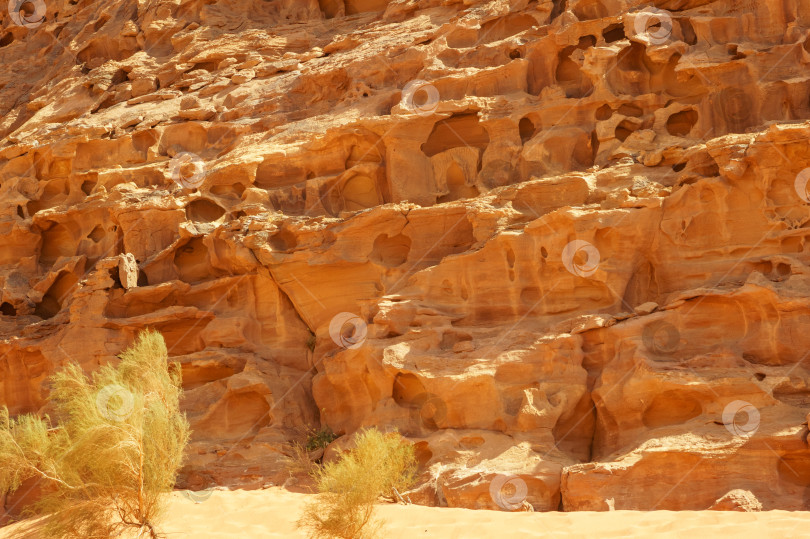 Скачать Иордания. Пустыня Вади-Рам - это настоящий Марс на Земле и национальный парк в Иордании. Фантастические пейзажи с красными скалами причудливых форм и песком невероятного цвета. Вади-Рам внесен в список Всемирного наследия ЮНЕСКО. фотосток Ozero