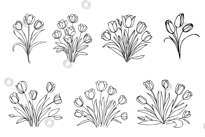 Скачать Цветок тюльпана графический черно-белый изолированный эскиз букета векторная иллюстрация фотосток Ozero
