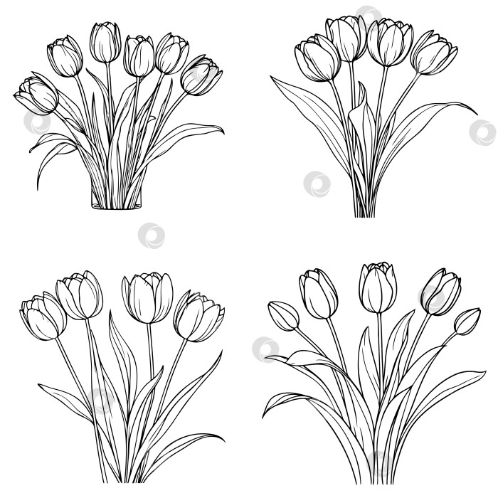Скачать Нарисованный от руки и эскиз цветочного букета тюльпанов. Черно-белая векторная иллюстрация с линейным рисунком. Цветочный ботанический цветок. фотосток Ozero