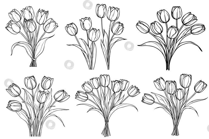 Скачать Нарисованный от руки и эскиз цветочного букета тюльпанов. Черно-белая векторная иллюстрация с линейным рисунком. Цветочный ботанический цветок. фотосток Ozero