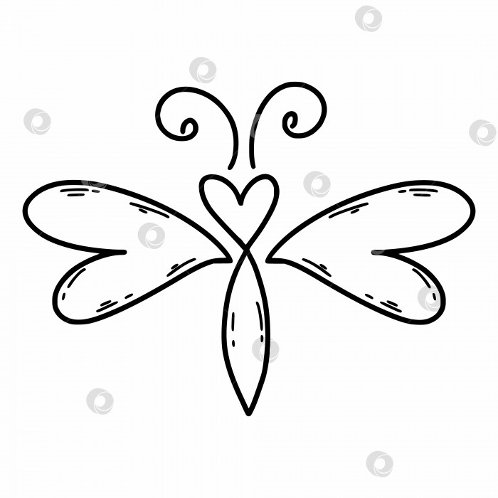Скачать Милая бабочка в стиле каракулей. Нарисованное от руки сердце. Элемент декора открытки. фотосток Ozero