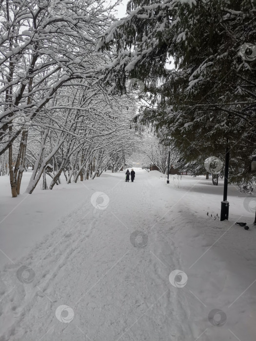 Скачать Люди идут по дороге в парке. фотосток Ozero