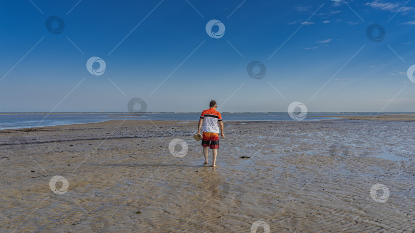 Скачать Отлив в океане. Лужи воды на обнажившемся волнистом песчаном морском дне. фотосток Ozero