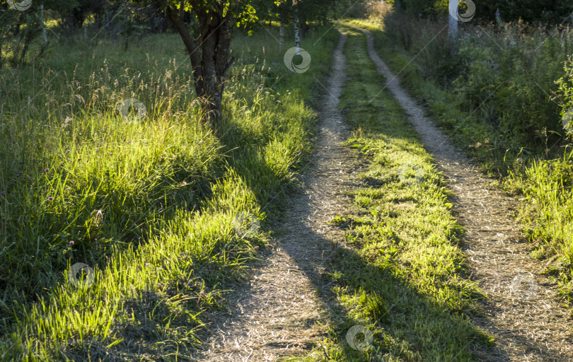 Скачать Тропинка в деревне. Пустая дорога летом в сельской местности. фотосток Ozero