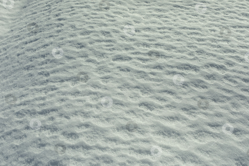 Скачать Текстура весеннего снега. Слой льда. Детали зимней природы. фотосток Ozero