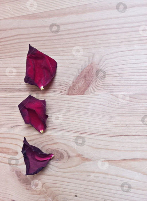 Скачать Абстрактный фон, лепестки увядающей красной розы на деревянном столе. фотосток Ozero