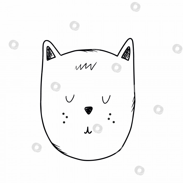 1. Абиссинская кошка