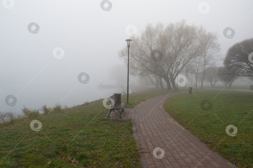 Скачать В туманном парке фотосток Ozero