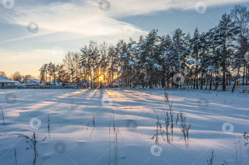 Скачать Утро зимнее фотосток Ozero